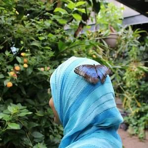 Meet your Posher, Mehvish